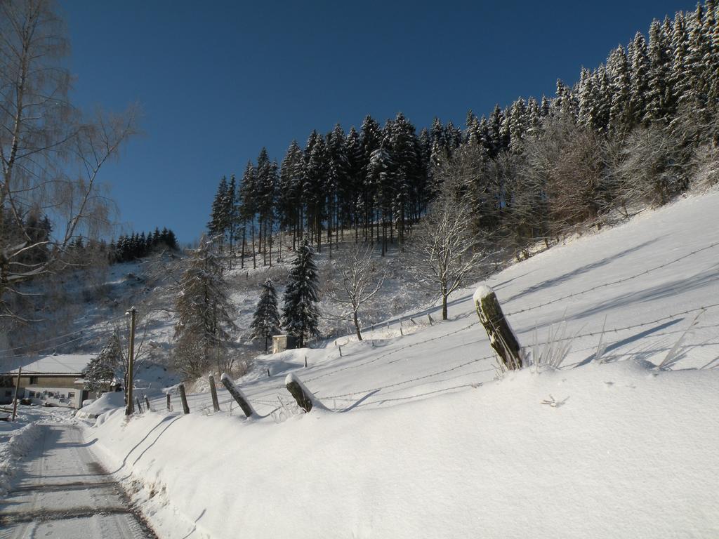 Landgasthof Nesselbach Nordenau Exterior foto
